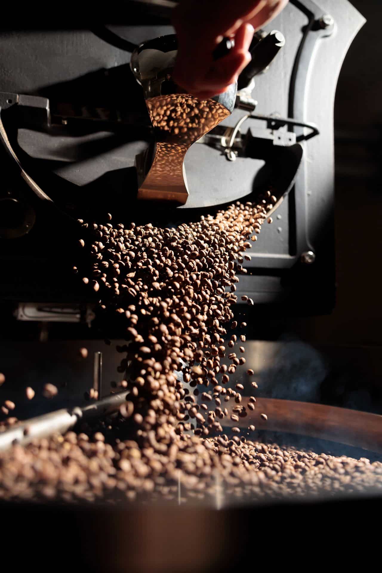 Coffee beans roasting and turning brown during the roasting process