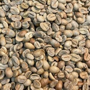 Vietnam Honey Robusta single origin coffee beans – Berk's Beans Coffee