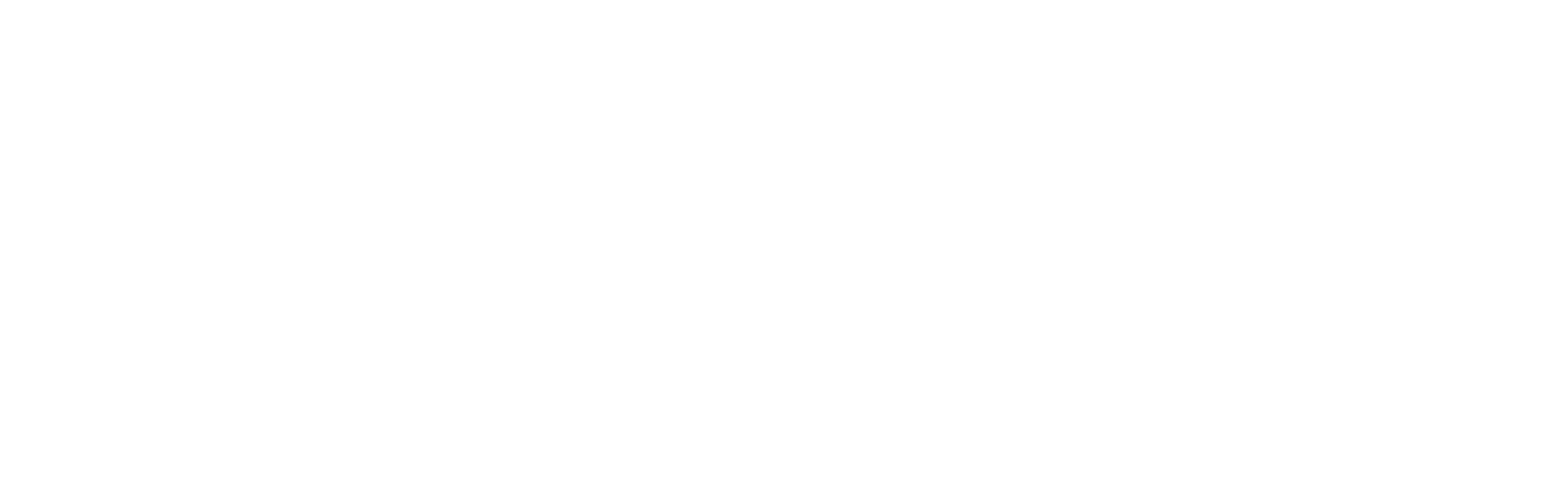Optimize Worldwide | Website Design Digital Advertising Agency